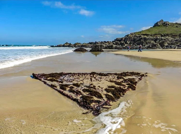 Triangle of seaweed on beach